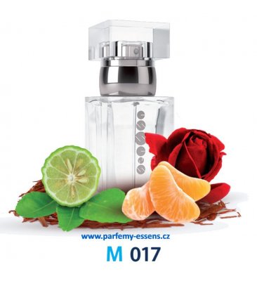 Pánský parfém 50 ml Essens m017